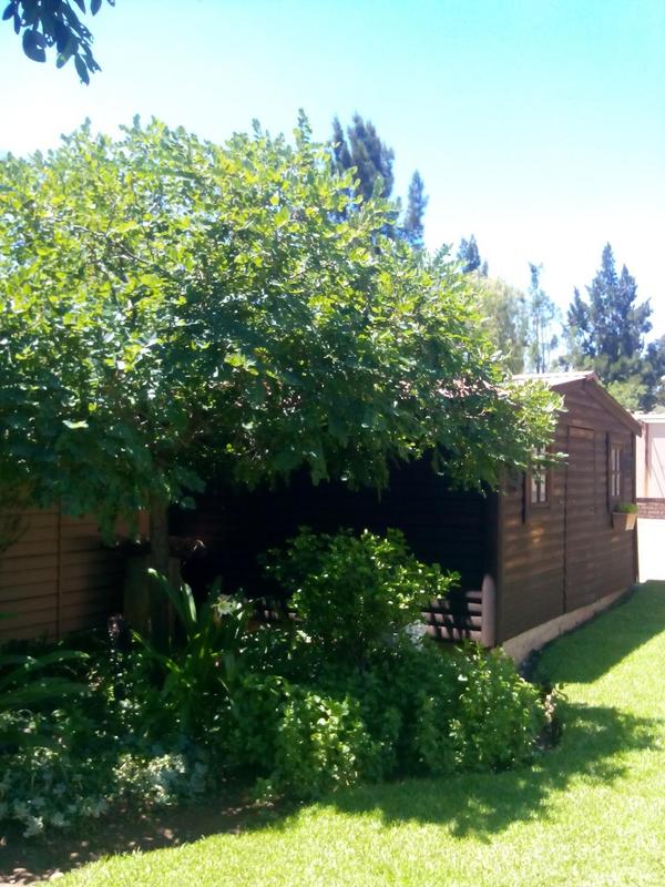 To Let 3 Bedroom Property for Rent in Vaalpark Free State